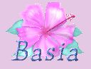 BASIA-2011-AL_28429.gif